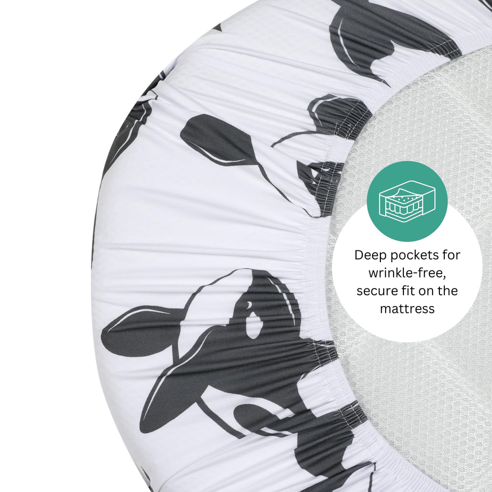 Tansy Panda sheets fit multiple Halo bassinets, showing universal compatibility.