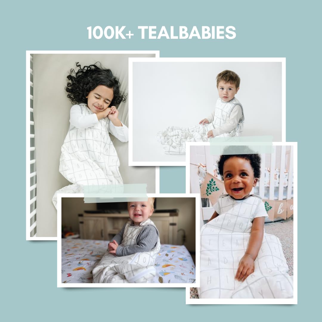 Tealbee Sleep Sack care shot emphasizes machine wash cold and low-dry care for durability.