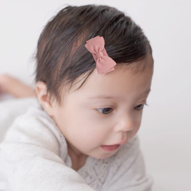 Tergy baby girls snap hair clip 20-pack packaging ready as a gift