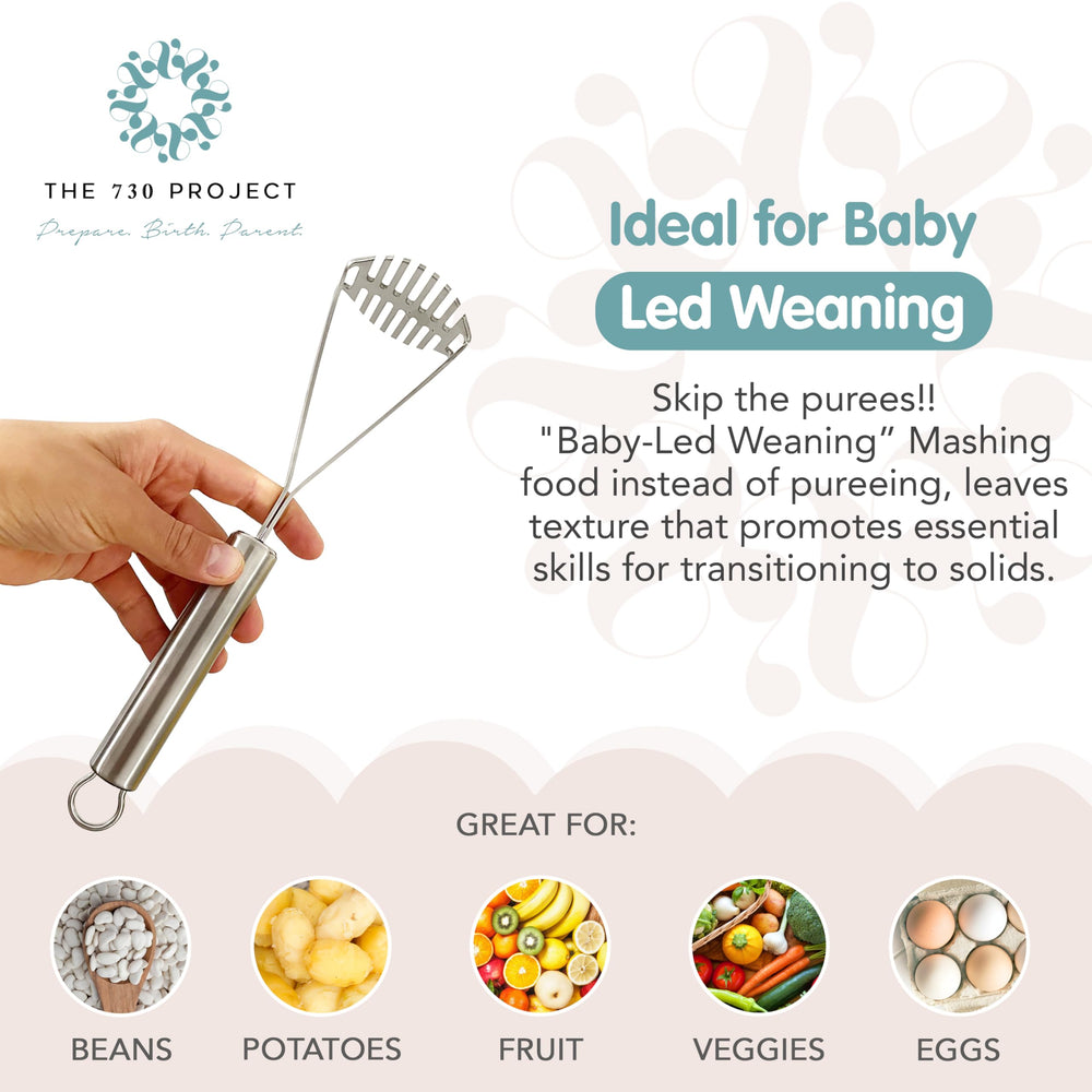 A baby-led weaning concept image showing the masher aiding texture in meals.