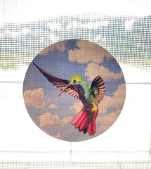 The Decal Empire hummingbird design showcases a vivid window-safety motif.