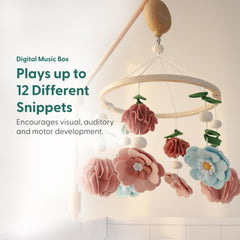 The Peanutshell crib mobile with 12 lullabies offers soothing melodies for bedtime routines.