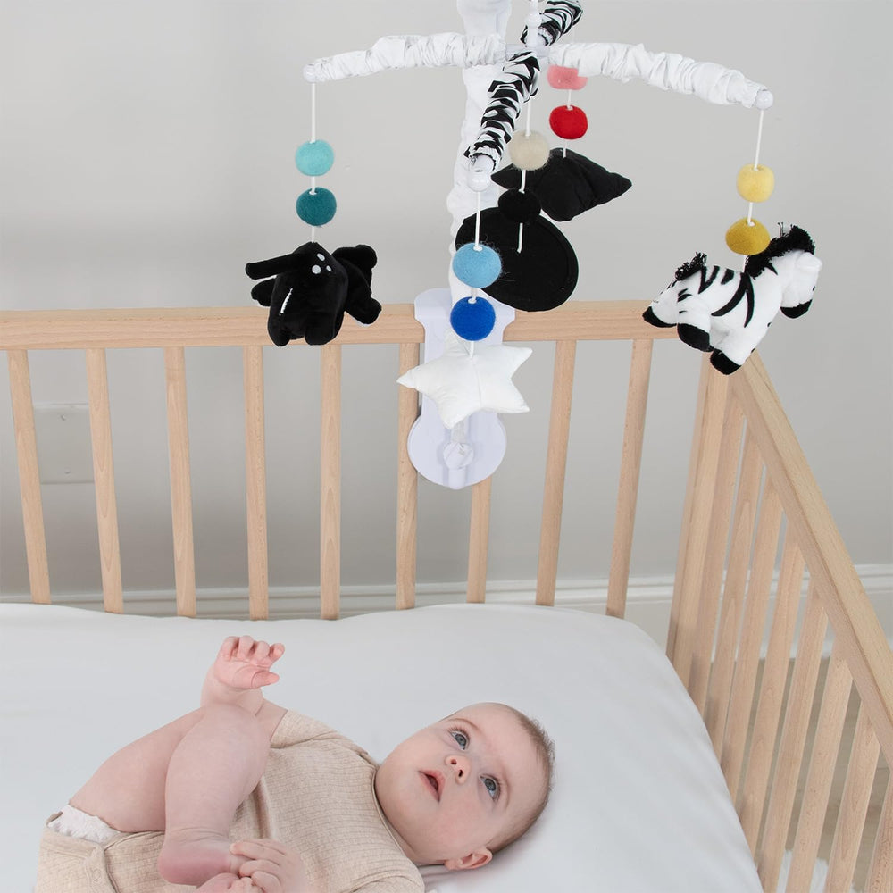 The Peanutshell digital music box offers 12 lullabies with easy switch.