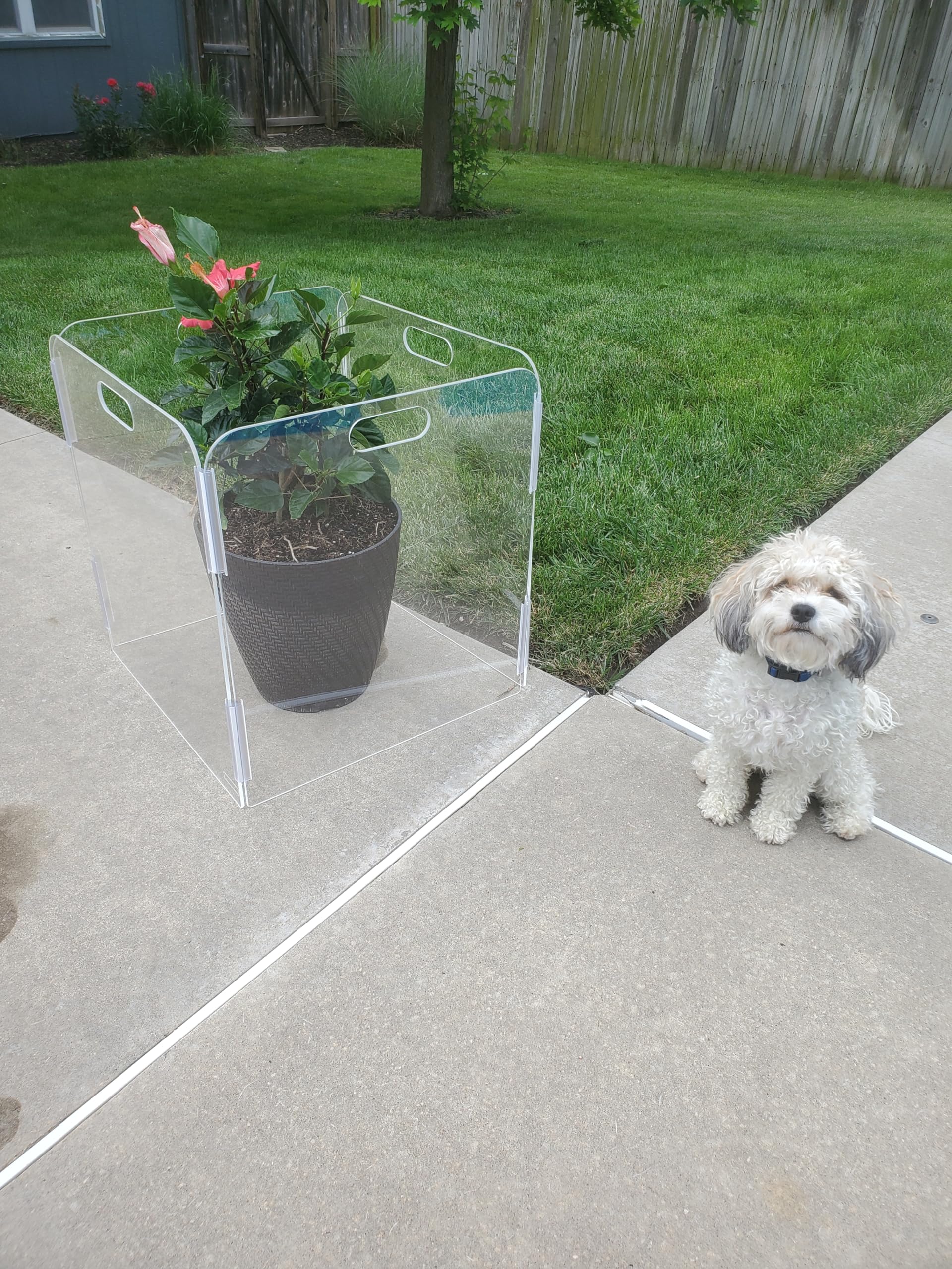Therafin Pet Barrier carrying handle enables effortless repositioning.