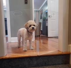 Therafin Pet Barrier features clear acrylic that blends with decor for a seamless look