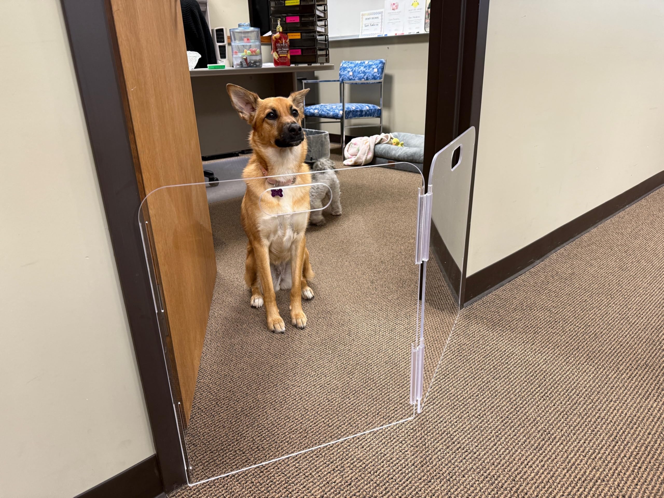 Therafin Pet Barrier folds compactly and includes a carrying handle for easy transport