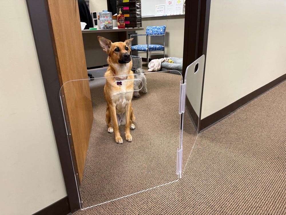 Therafin Pet Barrier folds compactly and includes a carrying handle for easy transport