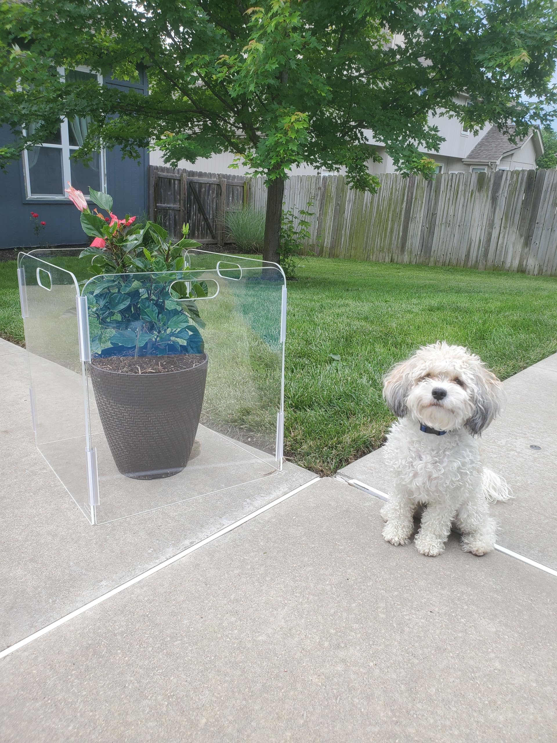 Therafin Pet Barrier suitable for indoor use with temporary outdoor setups.