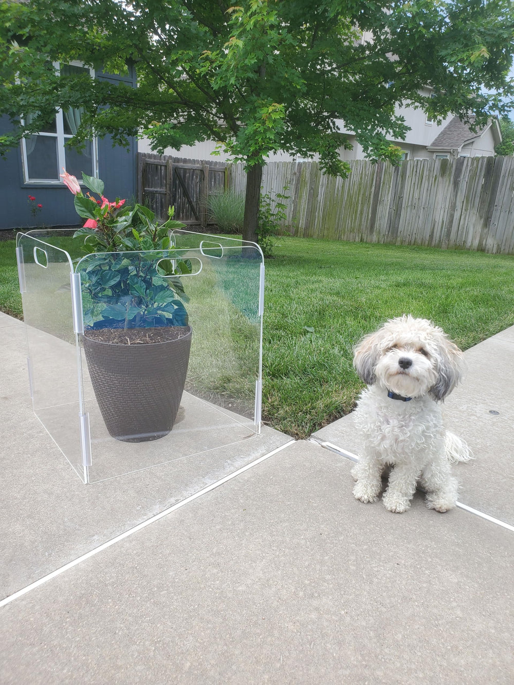 Therafin Pet Barrier suitable for indoor use with temporary outdoor setups.