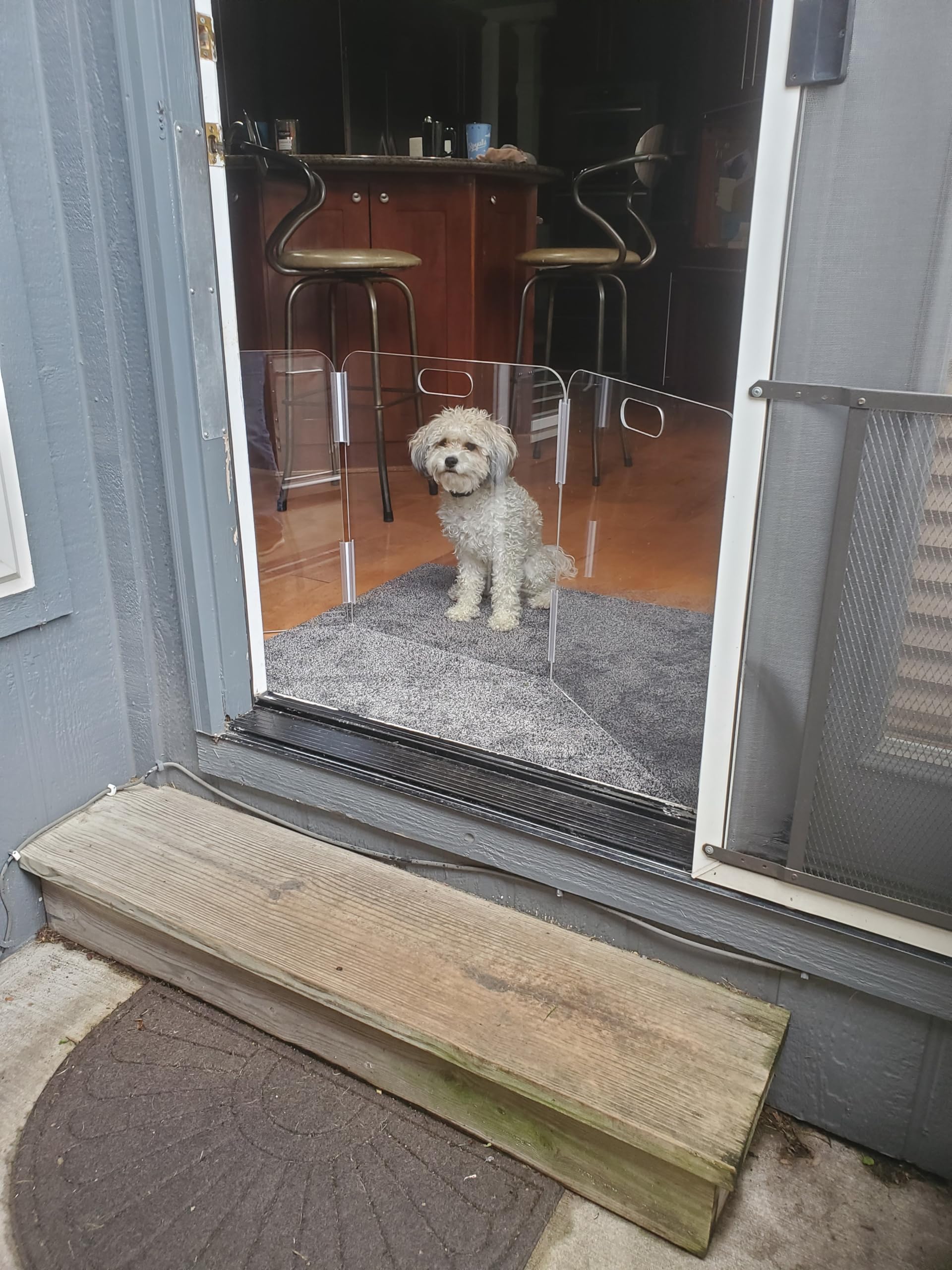 Therafin Pet Barrier transparent acrylic maintains sightlines while containing pets.