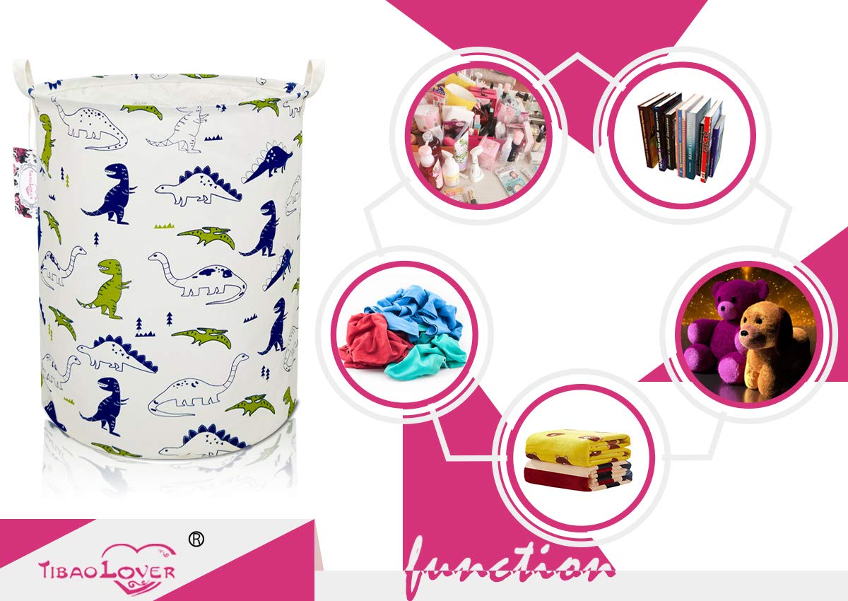 TIBAOLOVER polychrome dinosaurs decor enhances kids room.