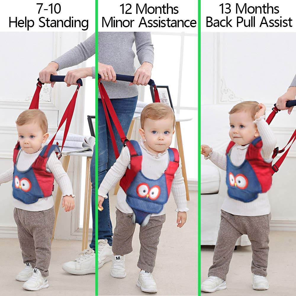 Tiger&Kitty pink pig harness in living room enables safe, relaxed home practice