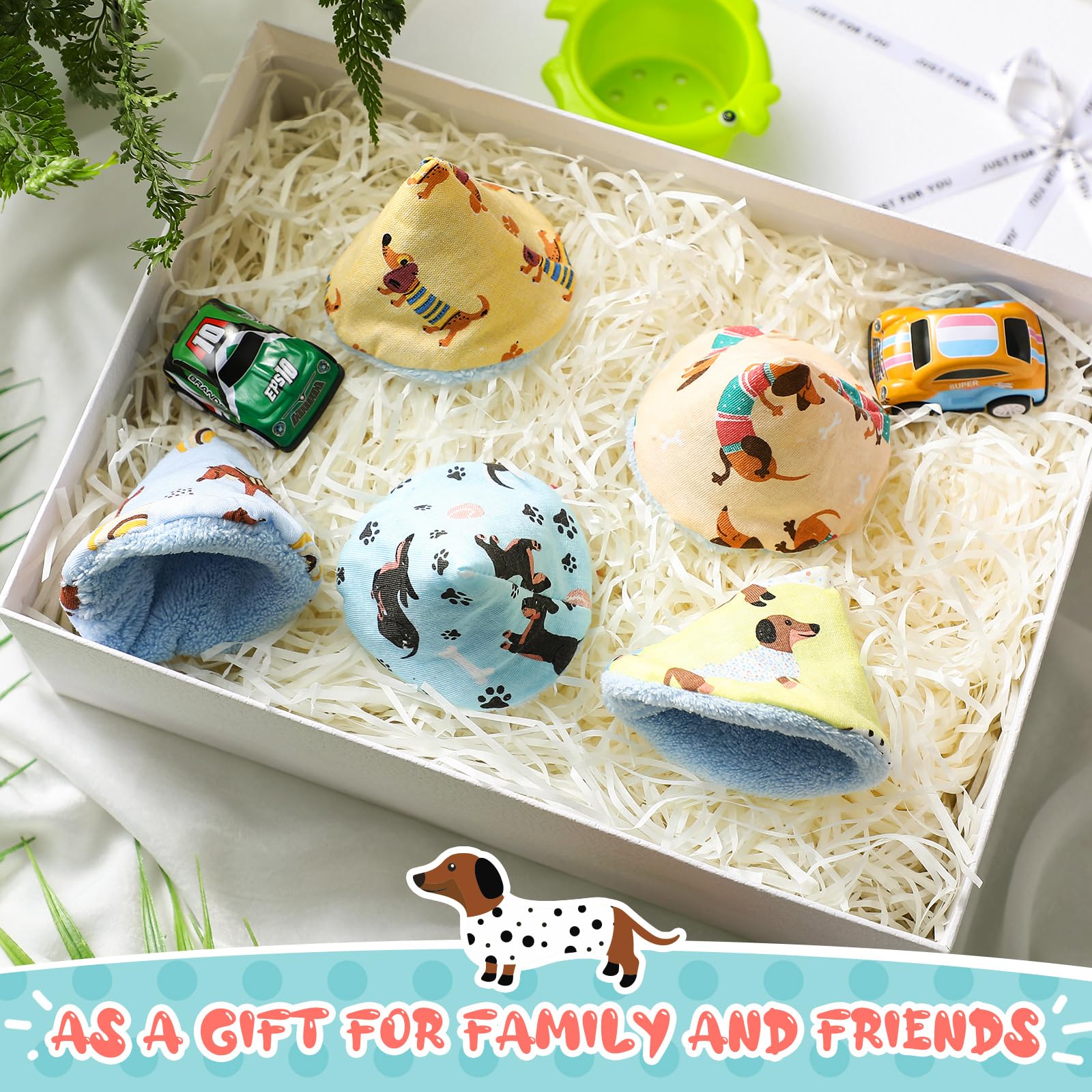 Timgle dachshund print pack adds playful charm to care.