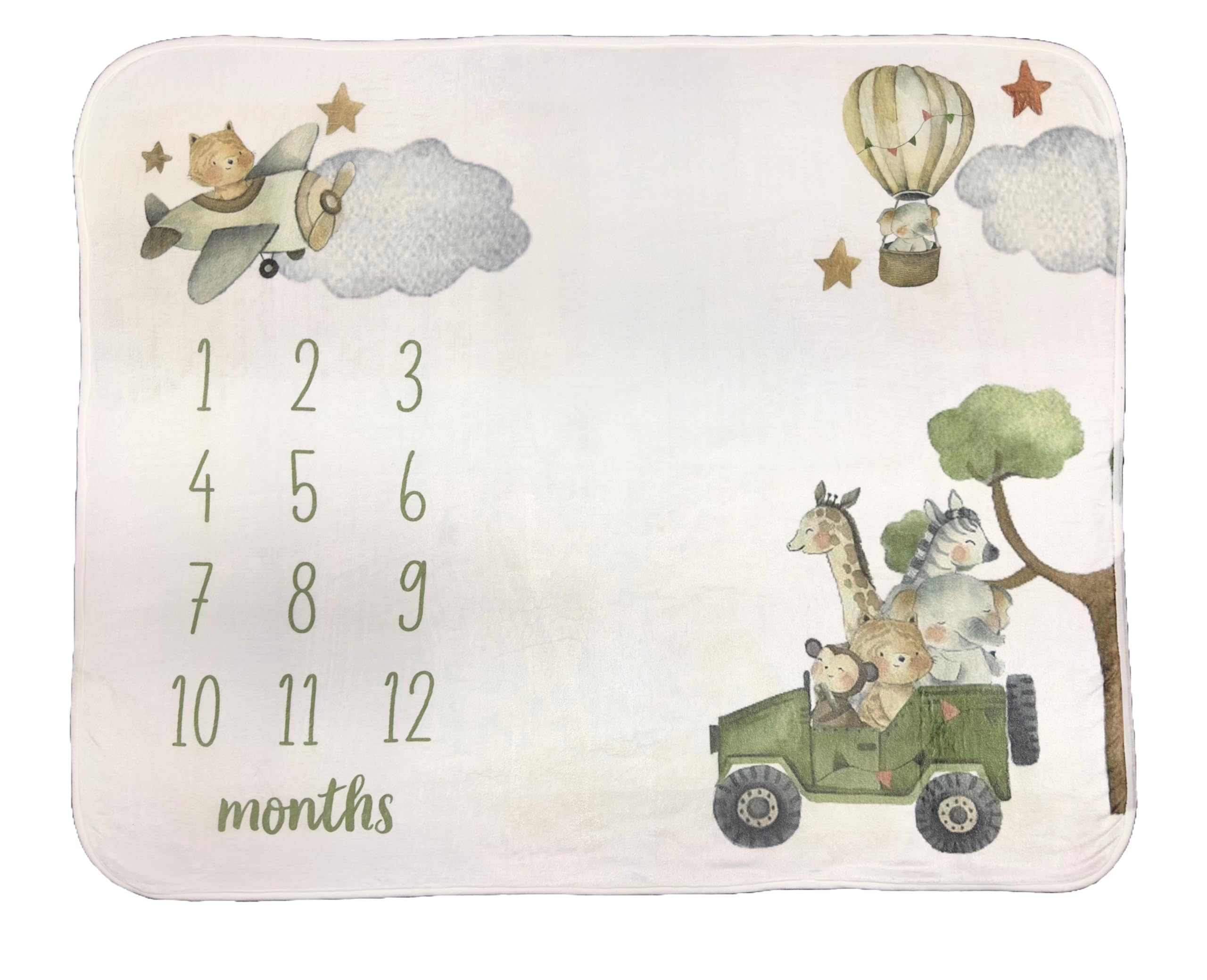 Tiny Treasures milestone blanket nursery decor with timeless pastel charm.