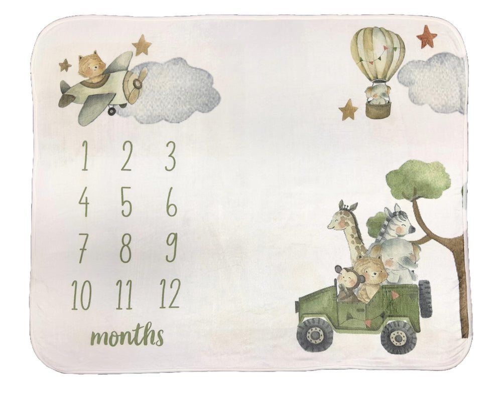 Tiny Treasures milestone blanket nursery decor with timeless pastel charm.