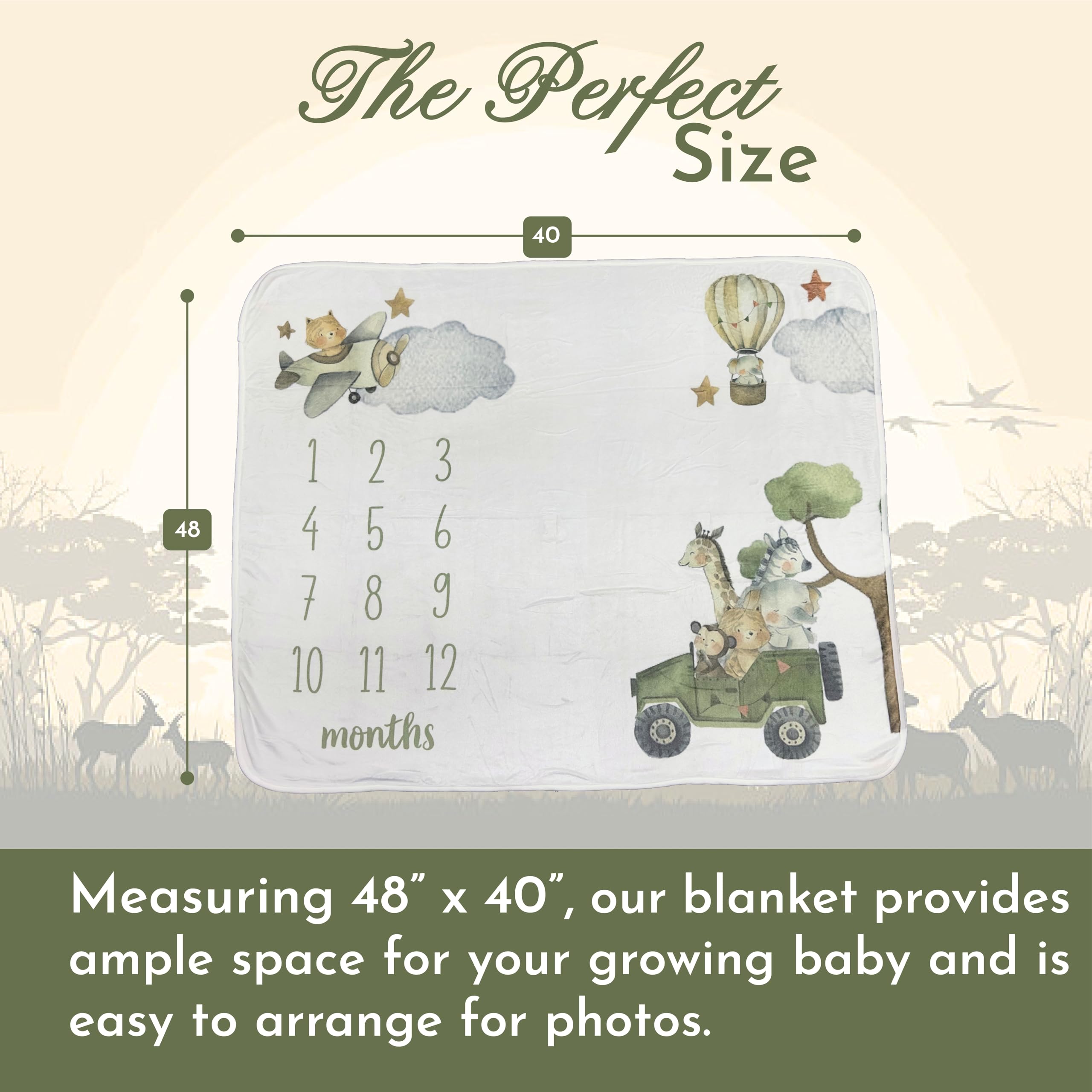 Tiny Treasures milestone blanket safari design adds playful backdrop to monthly portraits.