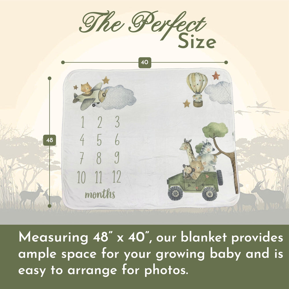 Tiny Treasures milestone blanket safari design adds playful backdrop to monthly portraits.
