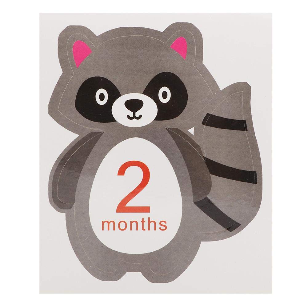 Tnfeeon 12-piece animal stickers capture each month with playful characters.