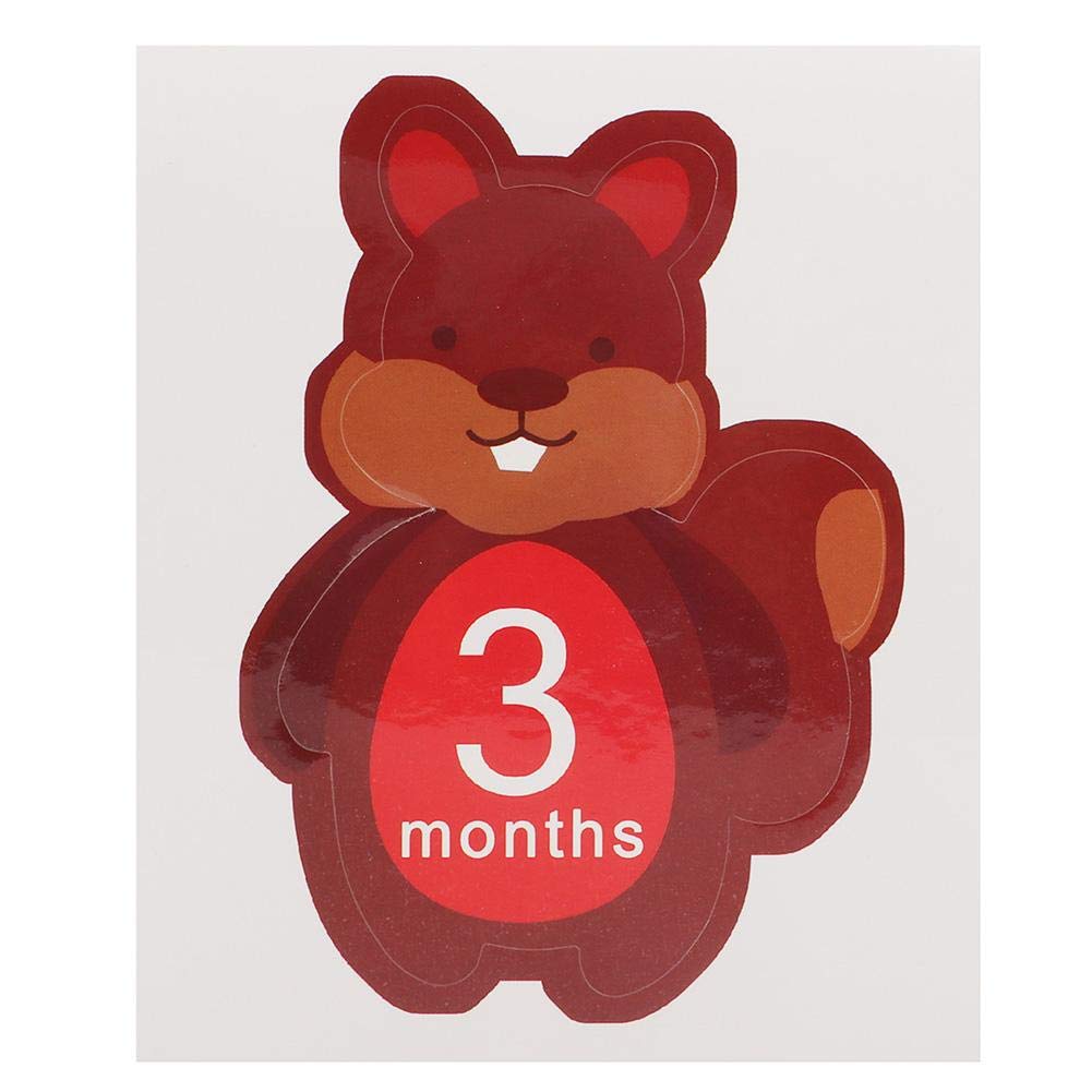 Tnfeeon monthly baby stickers on clothes create a cherished timeline.