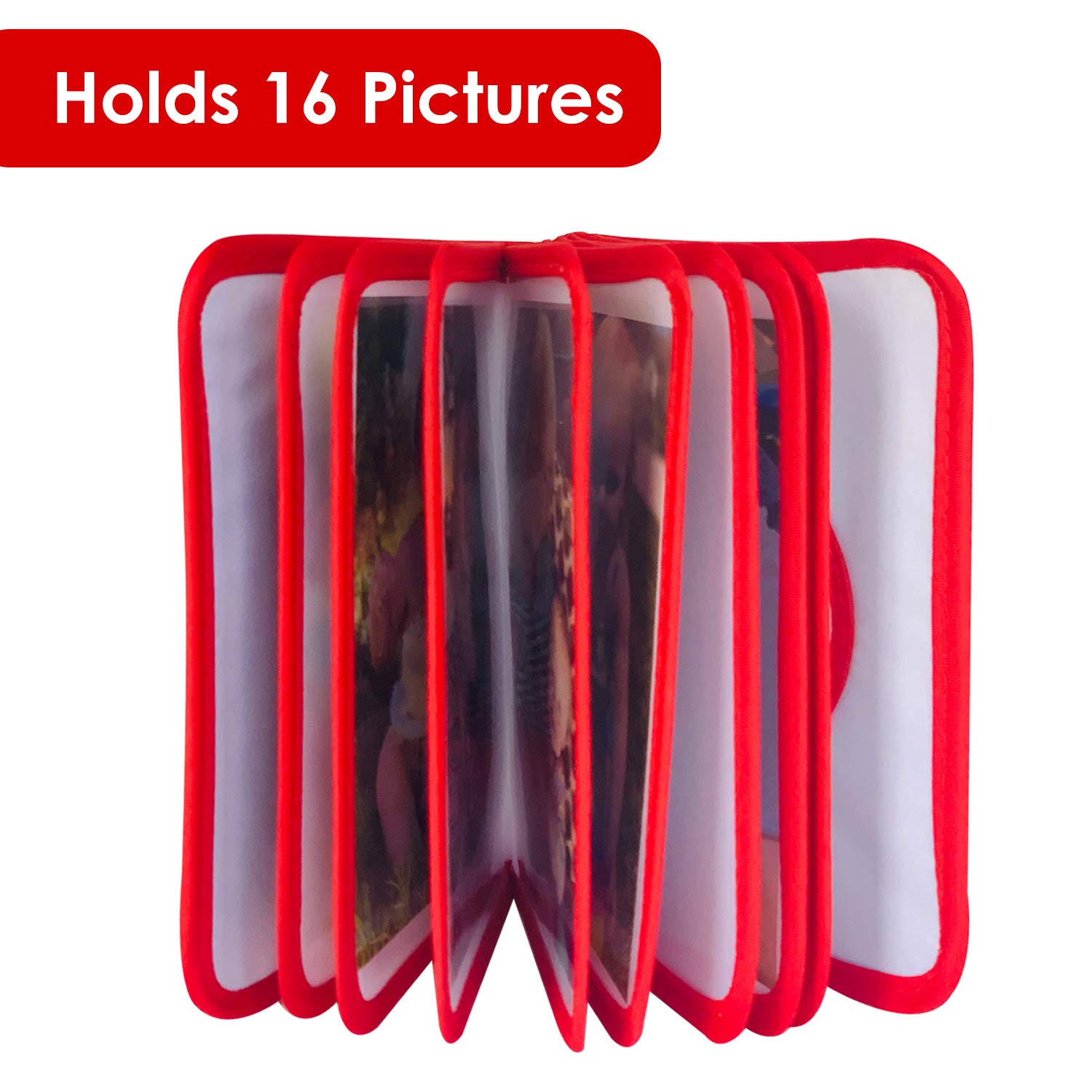 ToddleBee photos-4x6-pockets keeps standard prints neatly organized for easy viewing