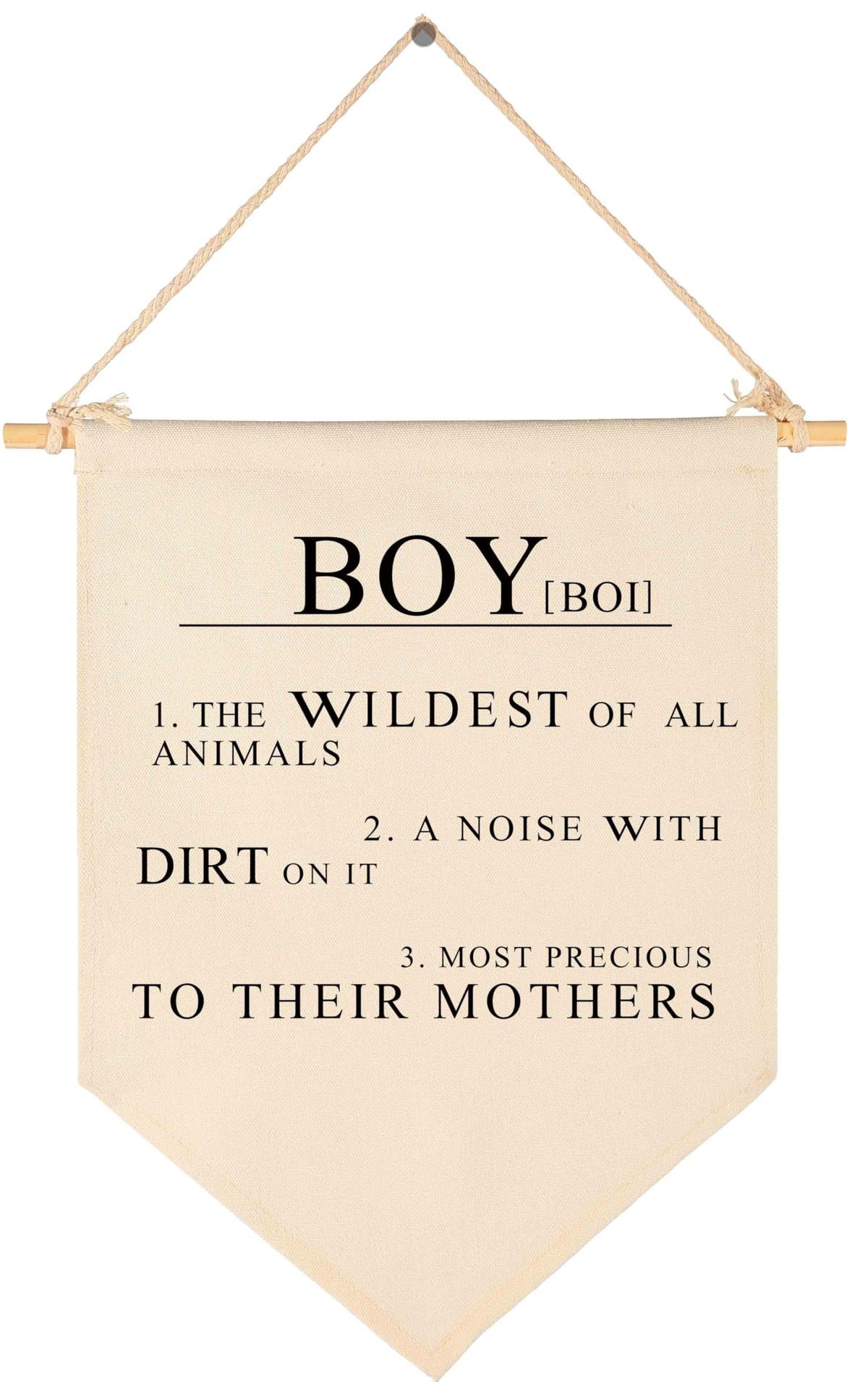 Topthink canvas banner with boy-wildest-animals wall sign adds a playful nursery focal point.