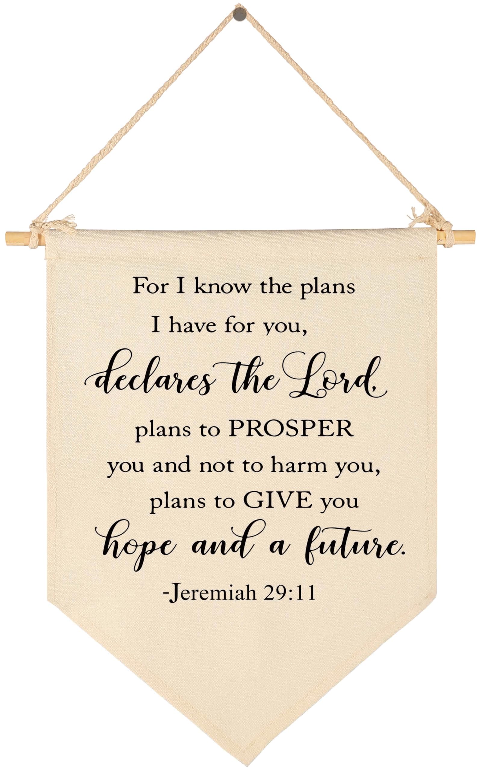 Topthink I Know the Plans banner wall display enhances nursery decor.