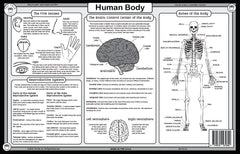 Tot Talk Human Body placemat closeup of laminate showing wipeable surface for mess-free meals.