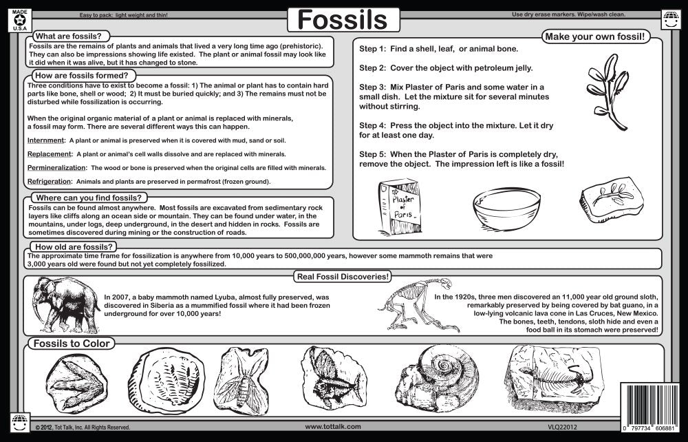 Tot Talk Science Explorer rocks and minerals mats help kids explore geoscience concepts at mealtime.