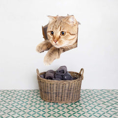 TTSAM removable cat stickers for painted walls with easy peel application