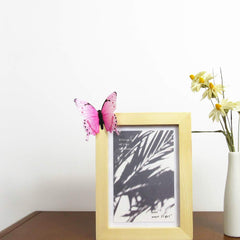 Tuosiwei 60pcs butterfly wall decals on wall display creates vibrant wall art