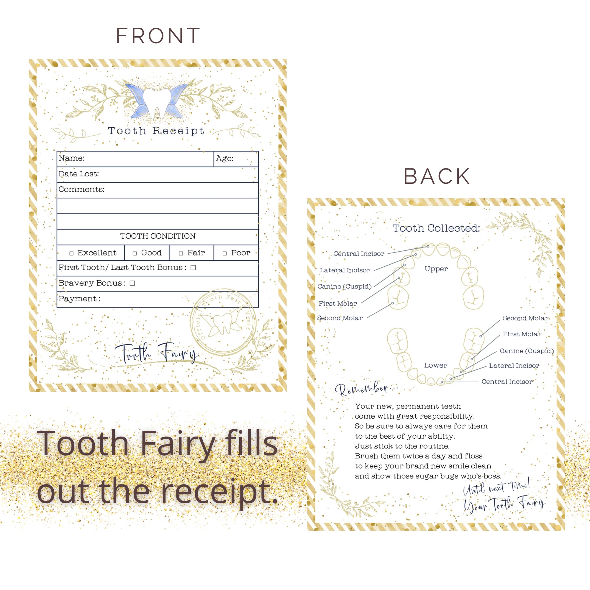 Twenty Moments of Tooth card-size close-up, 4.25x5.5 inches, portable addition to a tooth fairy kit.