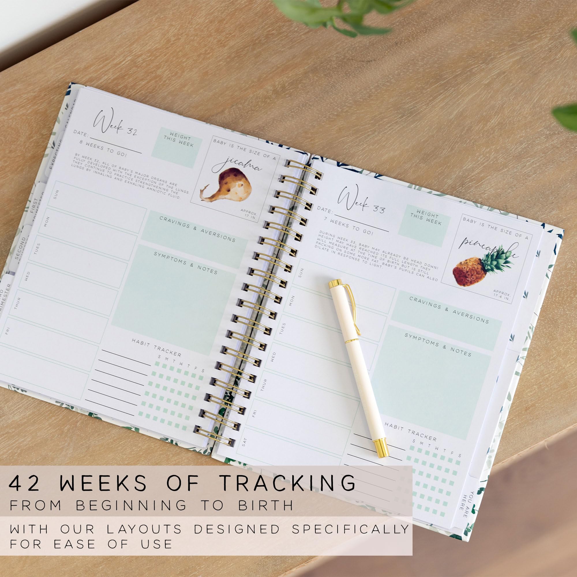 Two Little Dinos medical notes section keeps important appointments and reminders in one place.