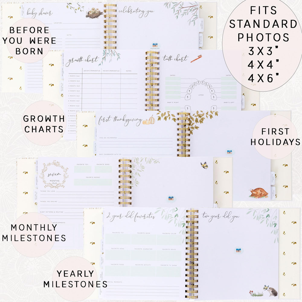 Two Little Dinos memory book dividers help organize milestones at a glance.