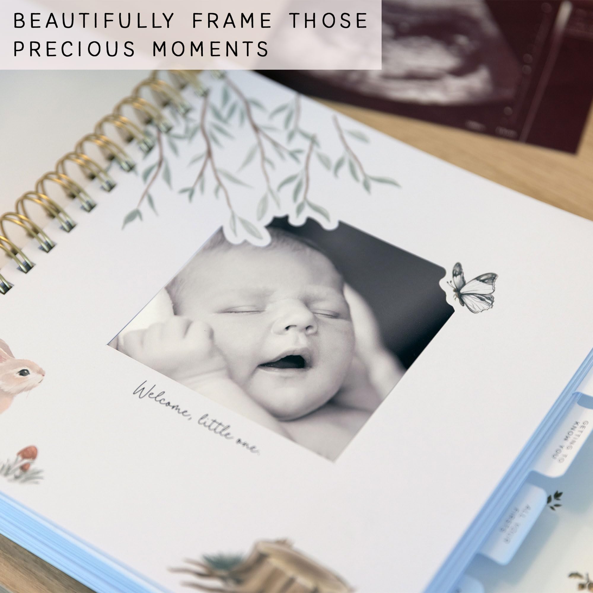 Two Little Dinos memory book sonogram pages preserve precious ultrasound memories.