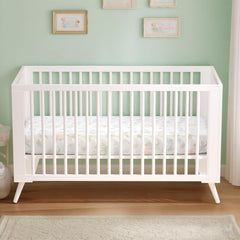 UOMNY nursery-bedding-dinosaur-design complements any nursery.
