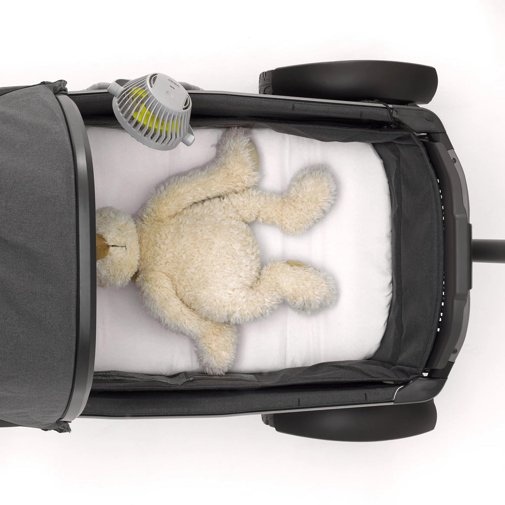 Veer Flex Fan compact size fits easily in bags