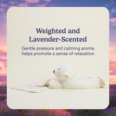 Warmies lavender-scented plush offers subtle aroma to ease bedtime routines.