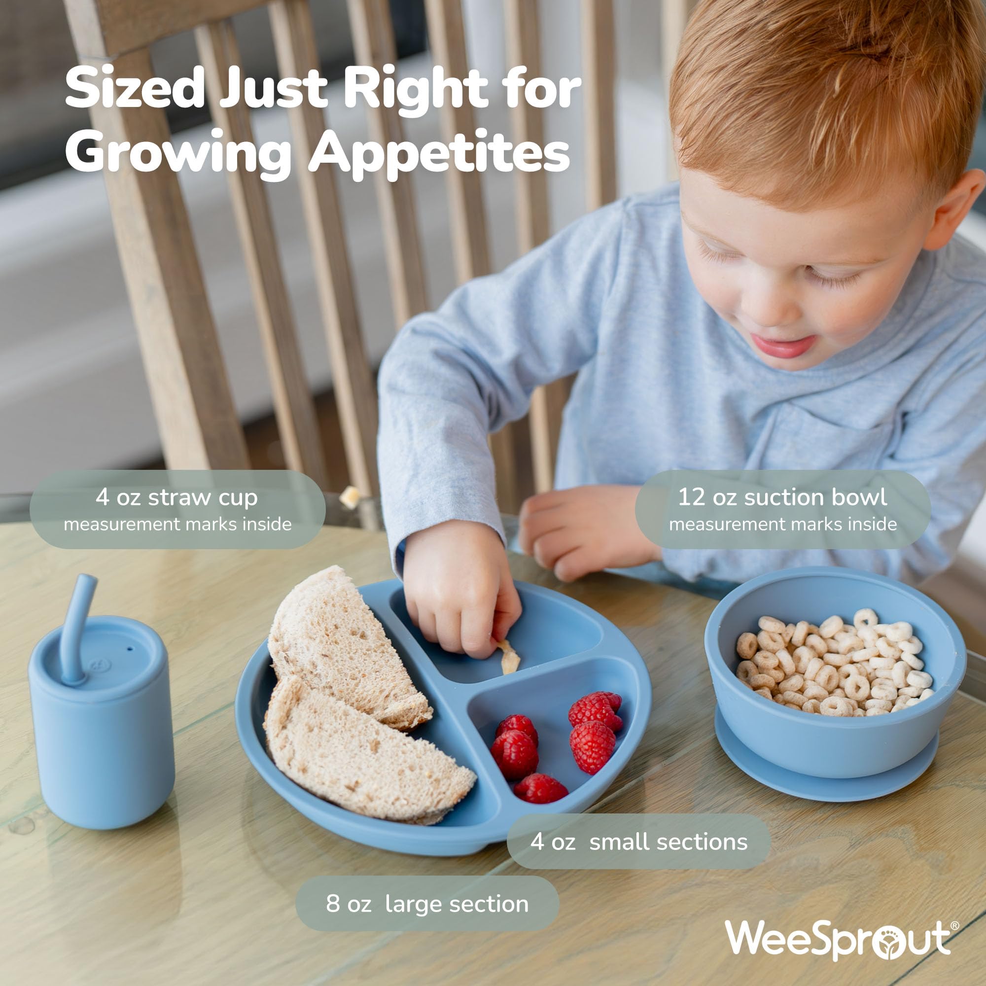 WeeSprout suction plate with lid prevents spills and keeps foods organized.