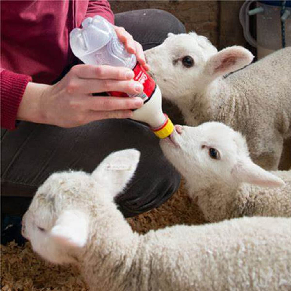 Weilan-soft-rubber-nipple-for-goats-lambs provides gentle, durable feeding option.