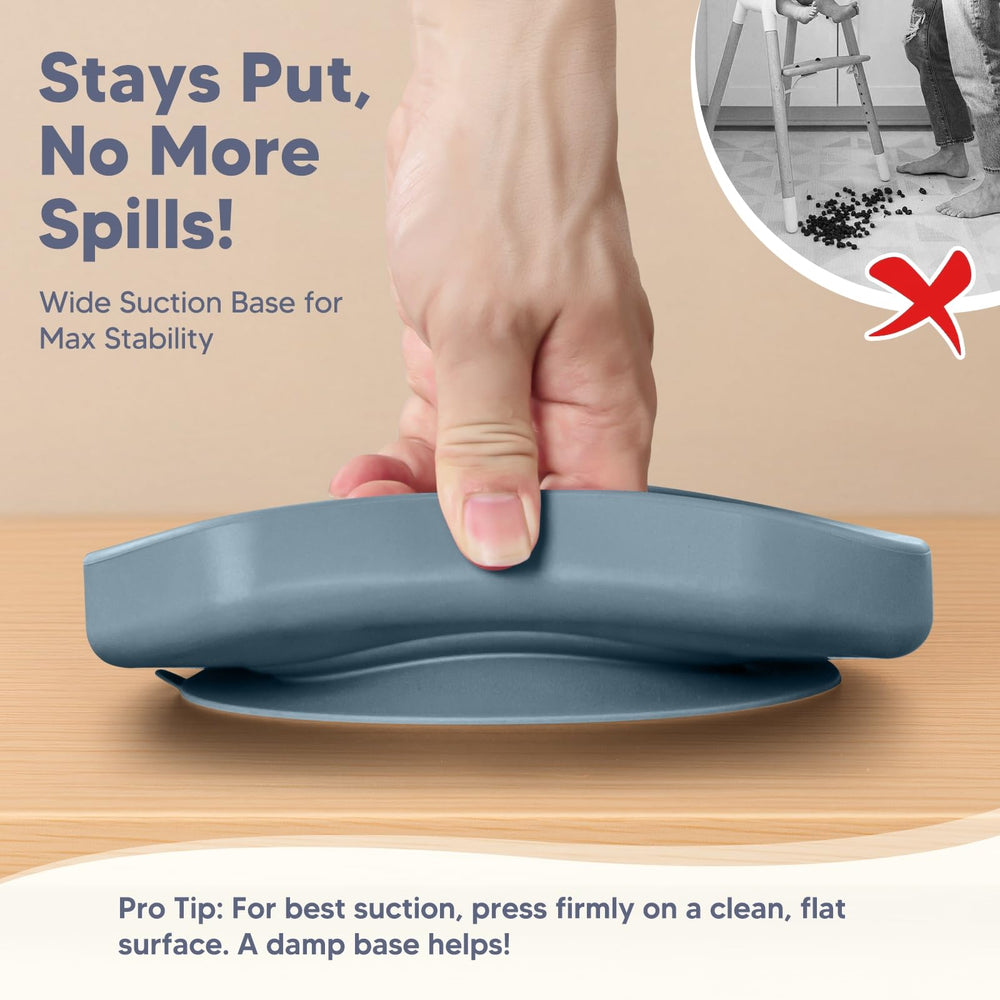 WiLLBEttER divided suction bowl aids portion control and easy food separation