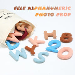 Windkream felt baby monthly decor set adds boho charm to newborn shoots