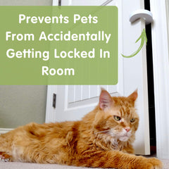 Wittle baby-proof door stopper in use at room doorway for safety.