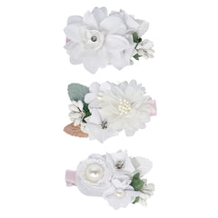WNYUJOY 3pc flower clips in gift-ready packaging for baby girls.