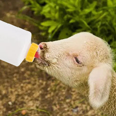WoYous goat-lamb-puppy feeding use demonstrates multi-species adaptability
