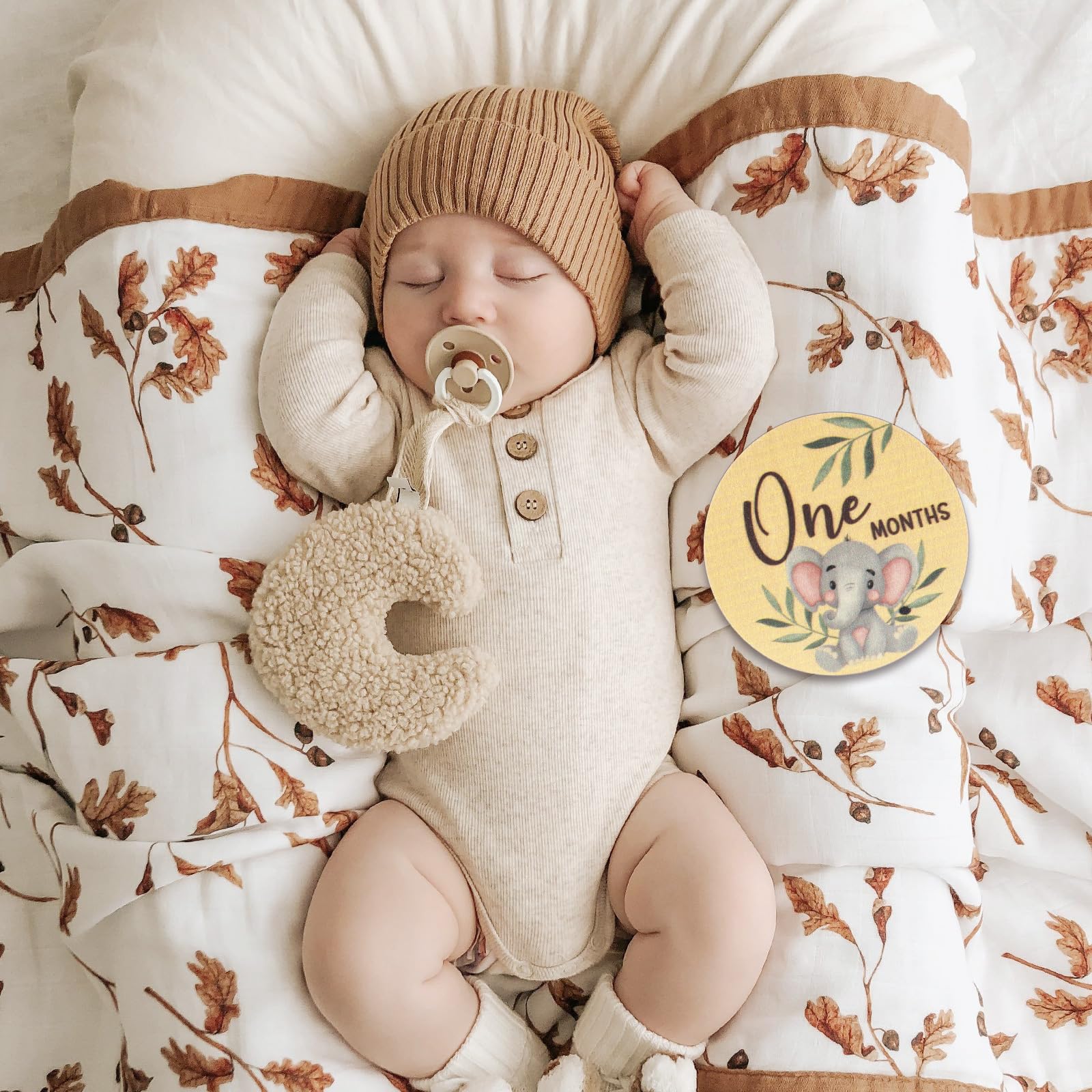 WSICSE milestone card month 3 in cute baby setup for photos
