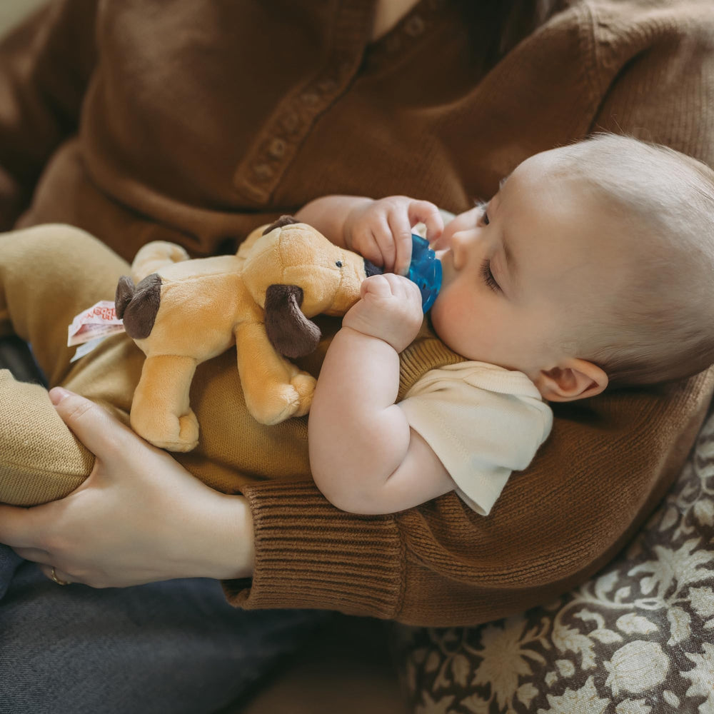 WubbaNub Brown Puppy Lovey pairing enhances comfort during snuggle time.