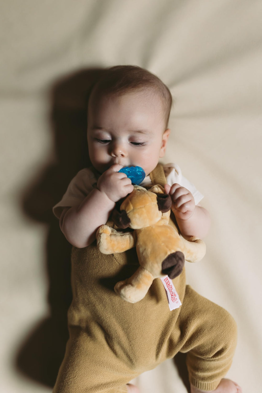 WubbaNub Brown Puppy pacifier shown in hospital distribution for newborn care.