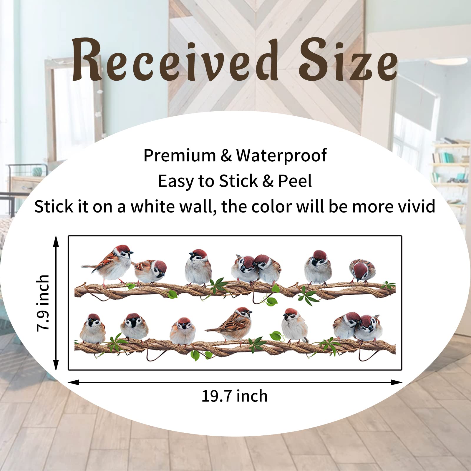 X-xdaonl Removable Bird Wall Decal Pack easy to install and cleanly removable