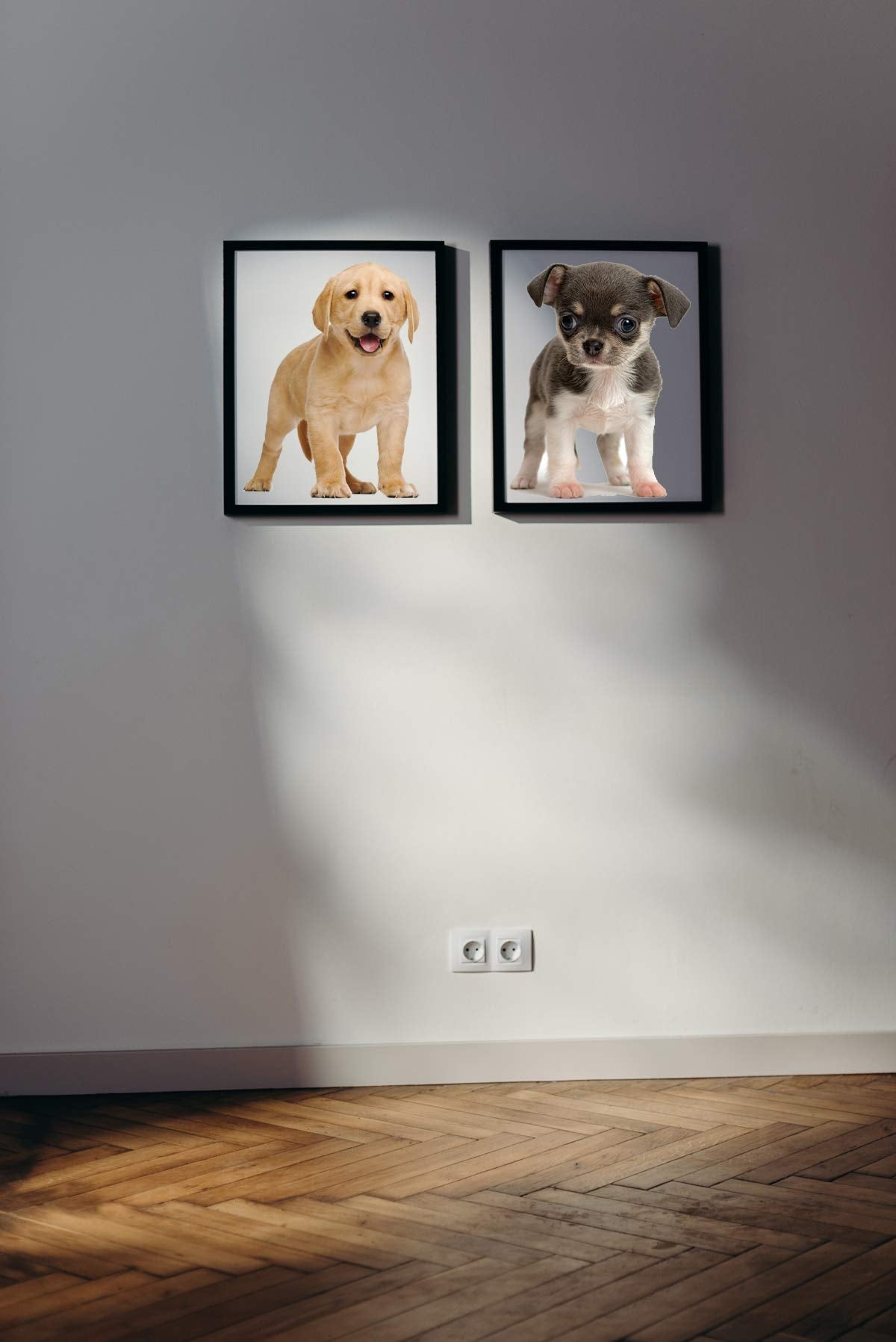 YINECO 17Dogs waterproof PVC material sticks on walls and windows