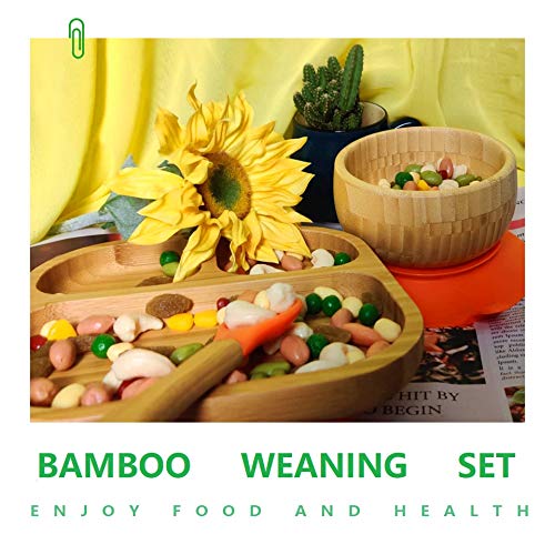 Youkoo suction base on plate is removable for easy cleaning.